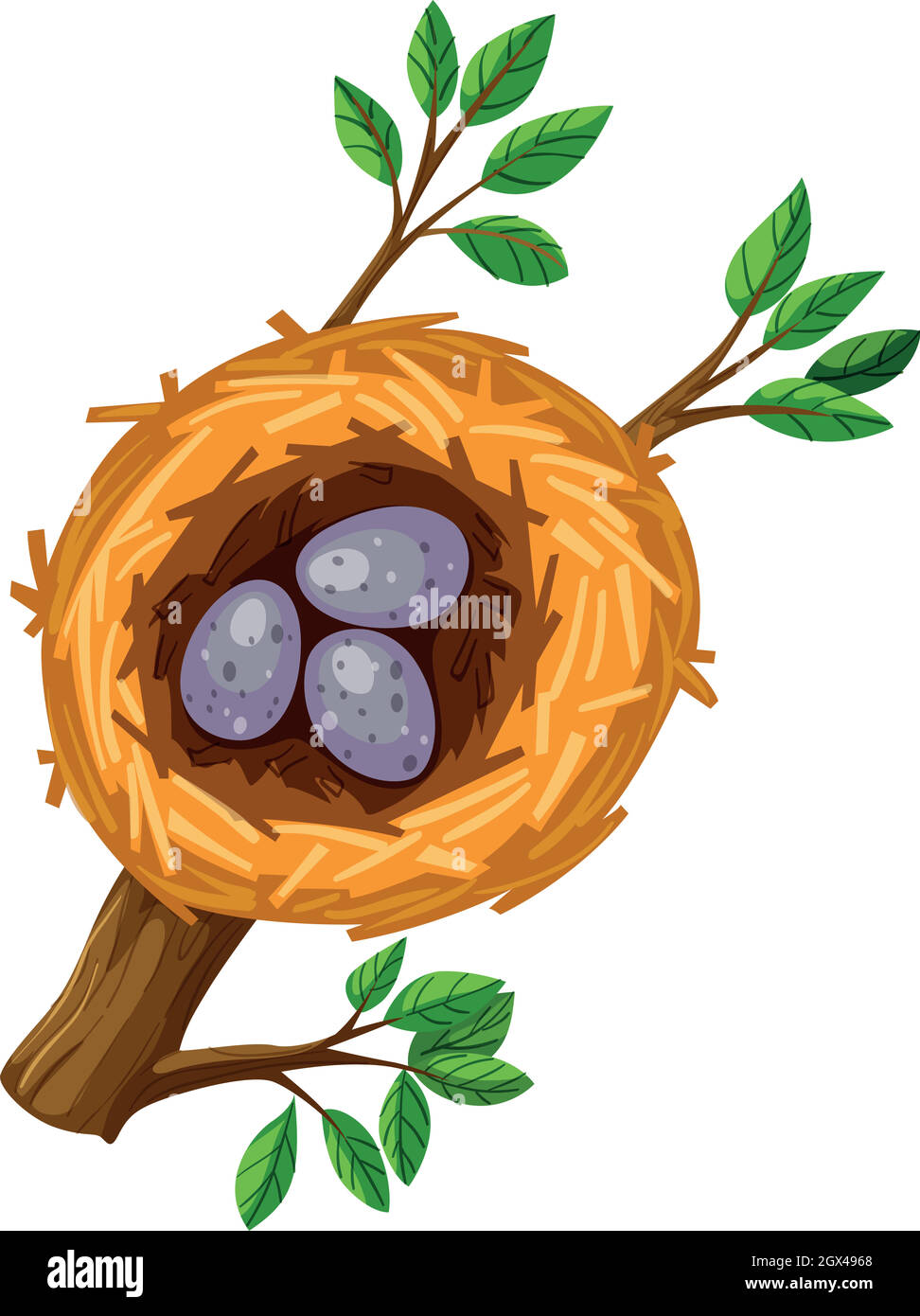 Uova nel nido di uccelli Illustrazione Vettoriale