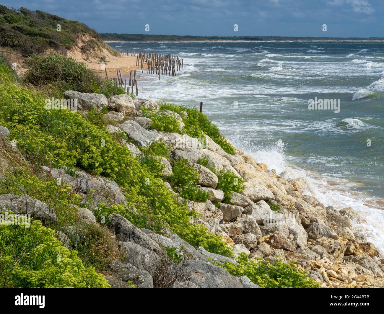 L'écuisière, costa occidentale dell'isola di Oléron, Francia, Foto Stock