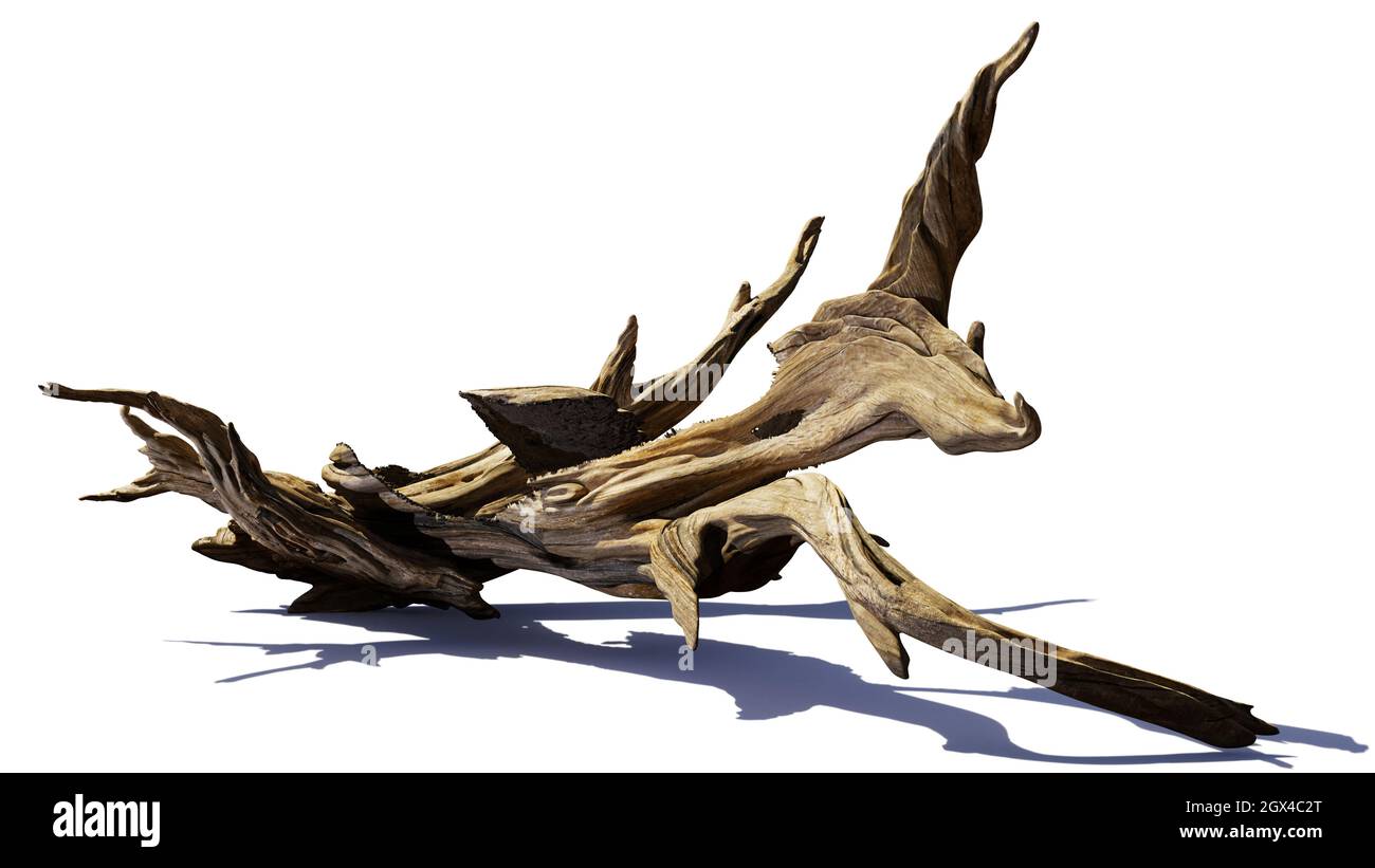 driftwood, mucchio di vecchi rami isolati su sfondo bianco Foto Stock