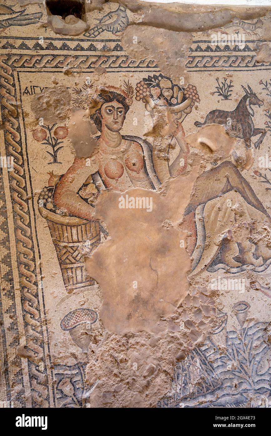 Israele, Bassa Galilea, Zippori National Park della città di Zippori (Sepphoris) un romano periodo bizantino la città con un abbondanza di mosaici della Casa del Nilo Foto Stock