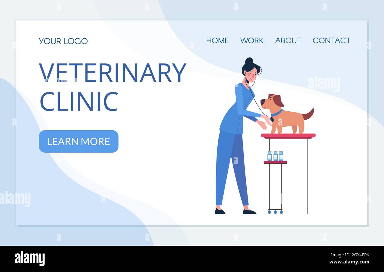 Progettazione di siti web per una clinica veterinaria. Illustrazione con un veterinario che si prende cura del cane. Vettoriale in stile piatto, pagine di destinazione. Illustrazione Vettoriale