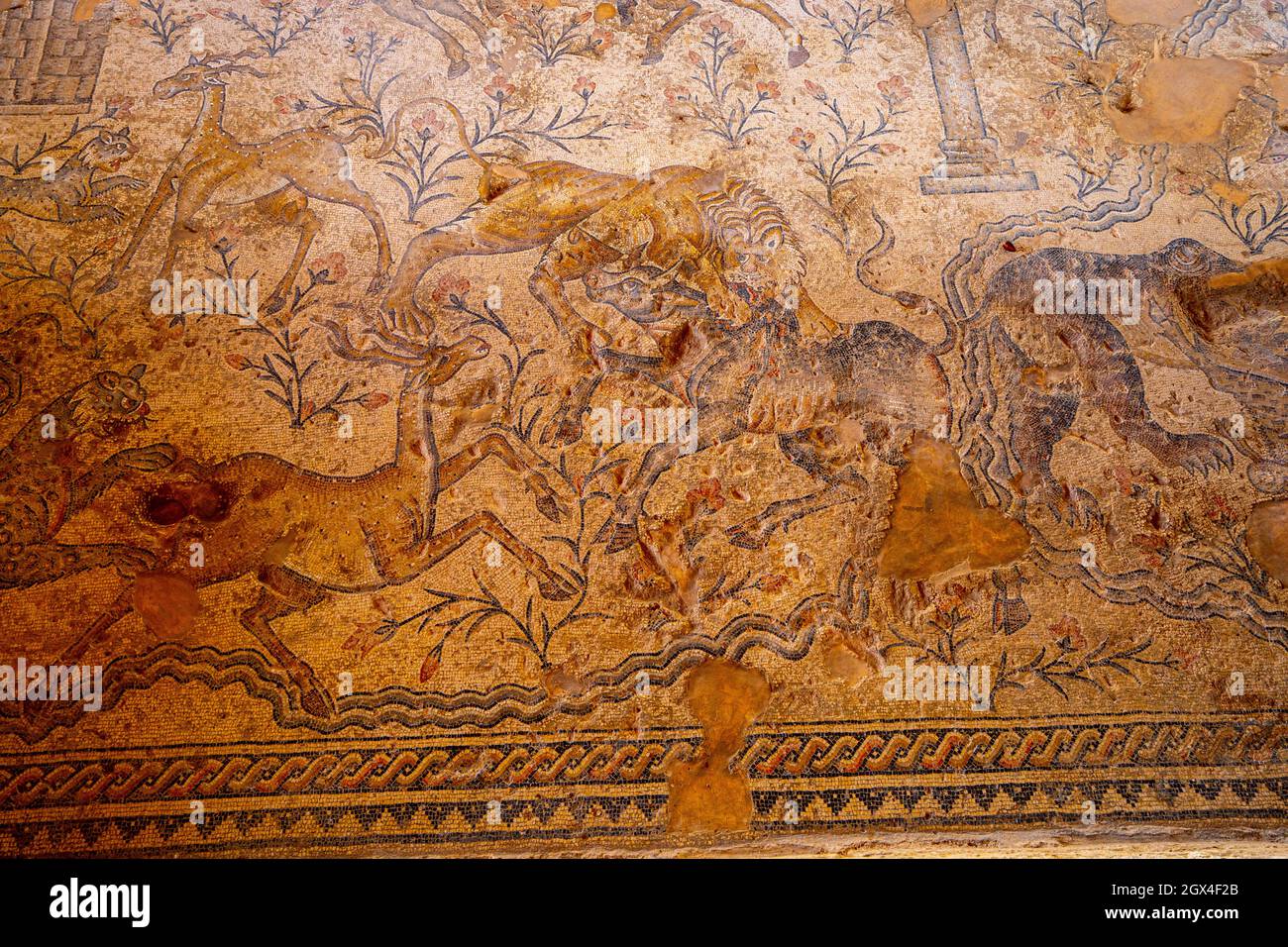 Israele, Bassa Galilea, Zippori National Park della città di Zippori (Sepphoris) un romano periodo bizantino la città con un abbondanza di mosaici della Casa del Nilo Foto Stock