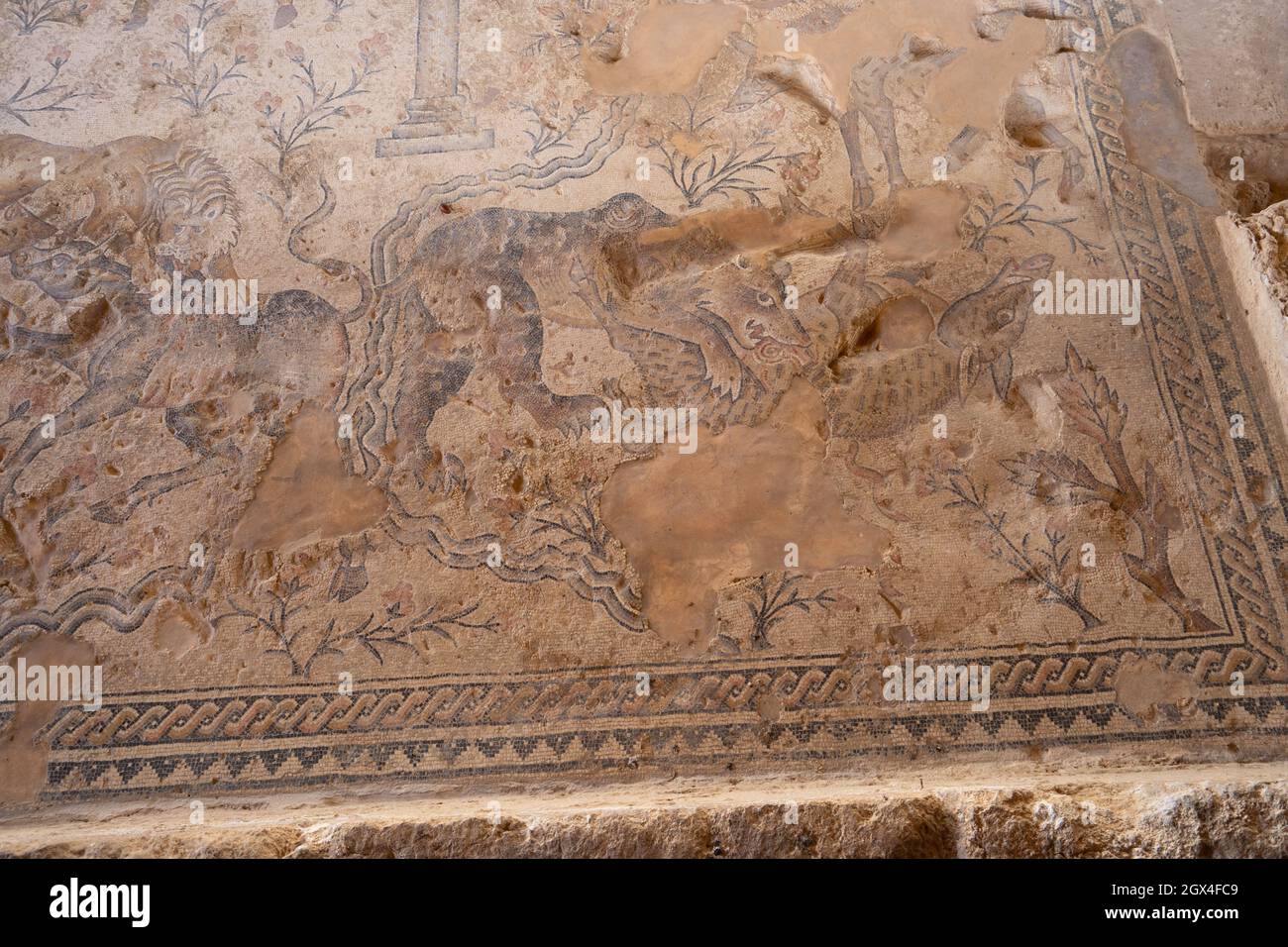 Israele, Bassa Galilea, Zippori National Park della città di Zippori (Sepphoris) un romano periodo bizantino la città con un abbondanza di mosaici della Casa del Nilo Foto Stock