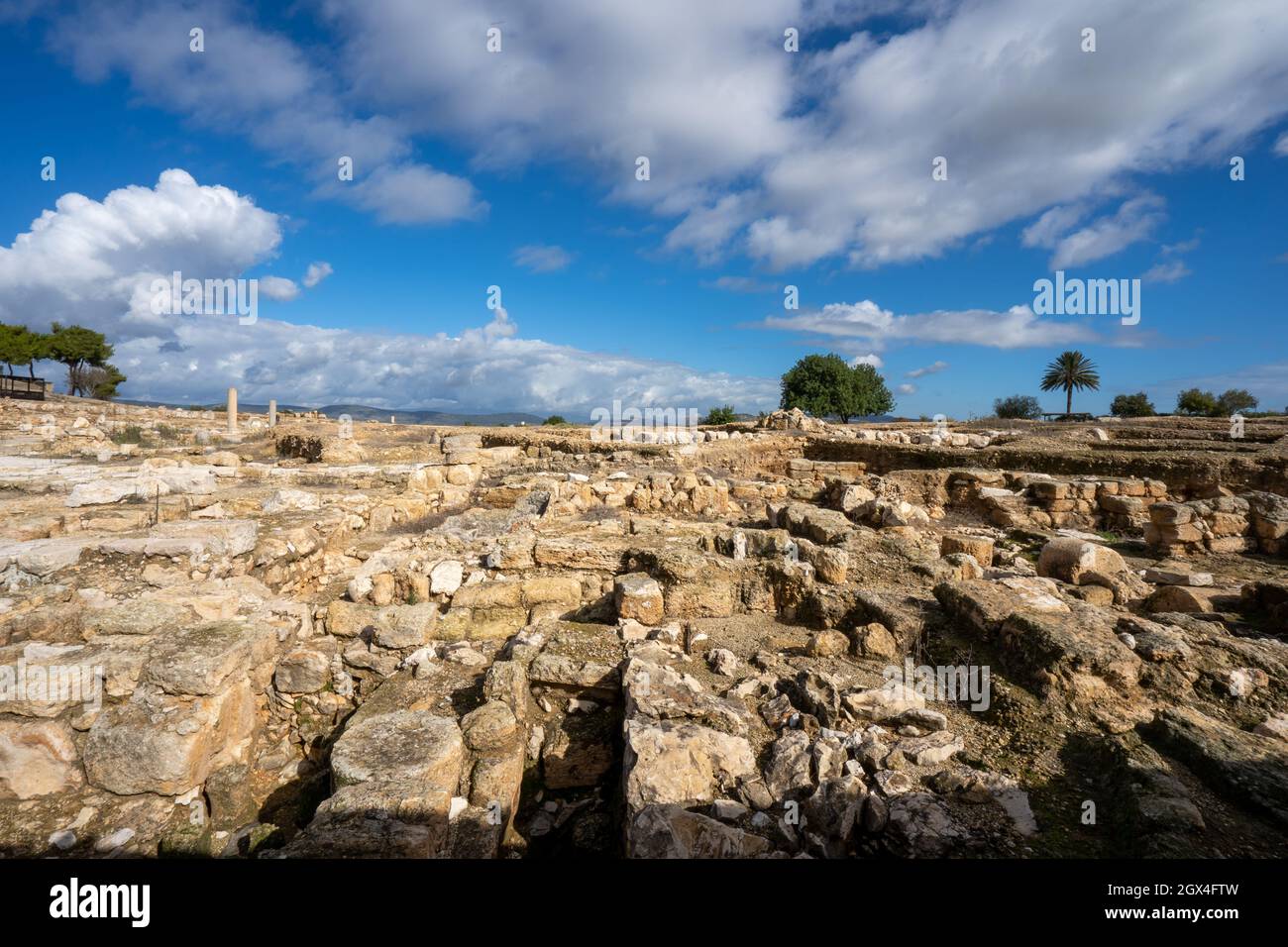 Parco Nazionale Tzipori Foto Stock