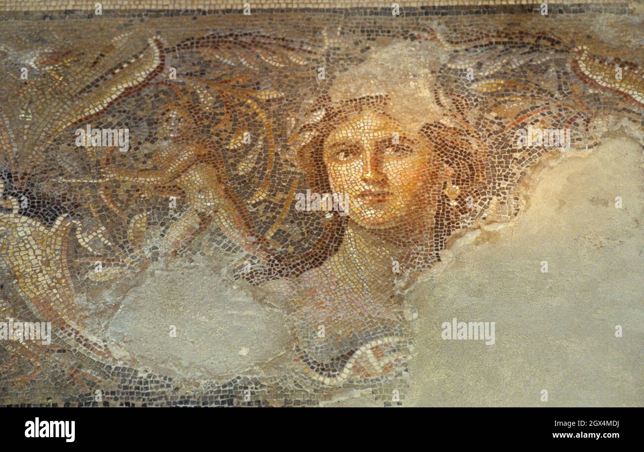 Pavimento a mosaico della villa romana la "Monna Lisa della Galilea", Parco Nazionale Zippori, bassa Galilea, Israele. La città di Zippori Foto Stock