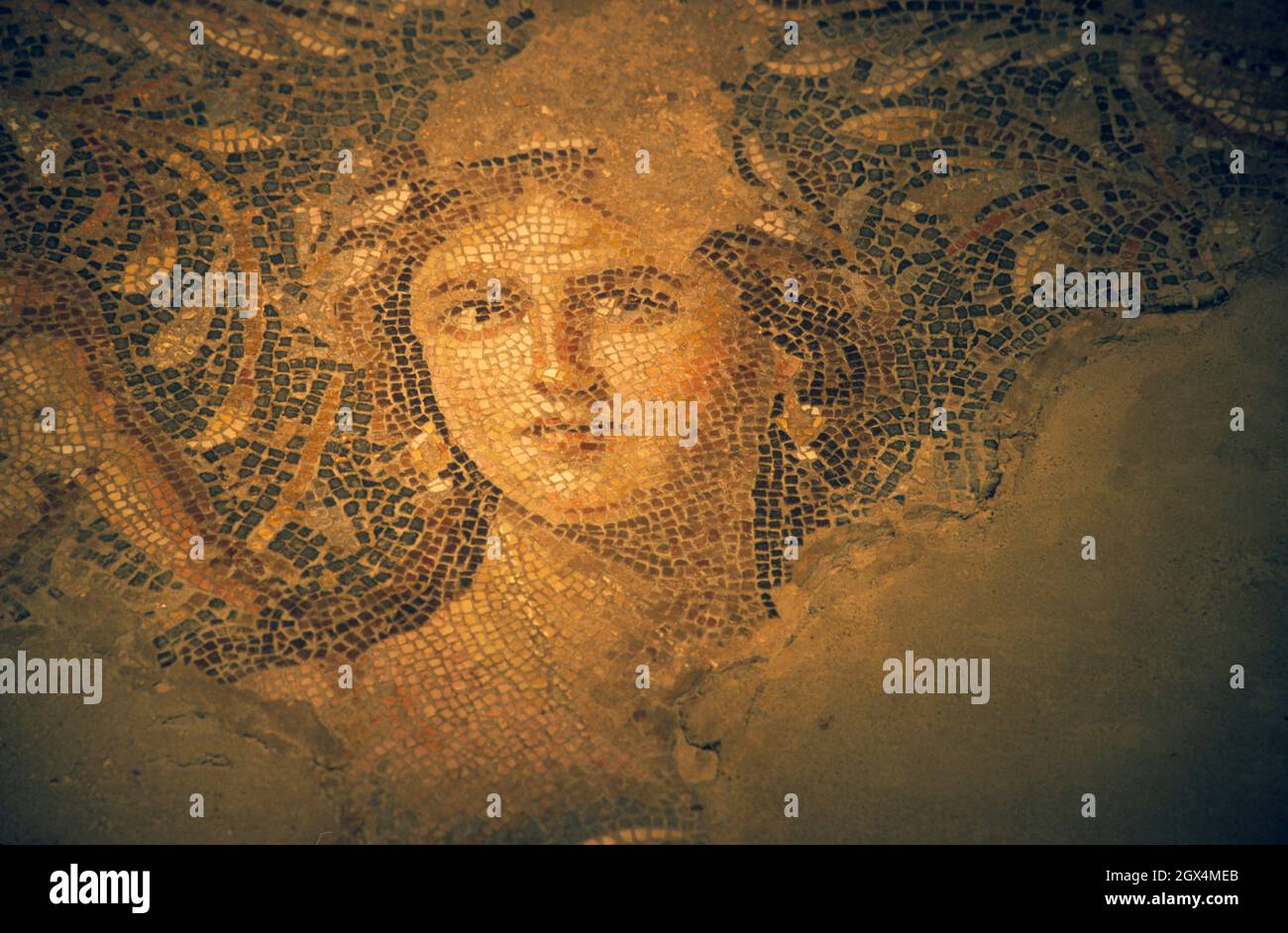 Pavimento a mosaico della villa romana la "Monna Lisa della Galilea", Parco Nazionale Zippori, bassa Galilea, Israele. La città di Zippori Foto Stock