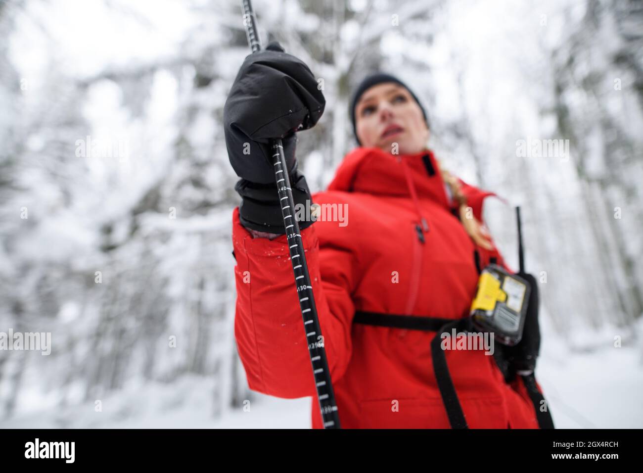 Vista ad angolo basso della donna del servizio di soccorso di montagna in funzione all'aperto in inverno nella foresta, trovando la persona dopo valanghe. Foto Stock