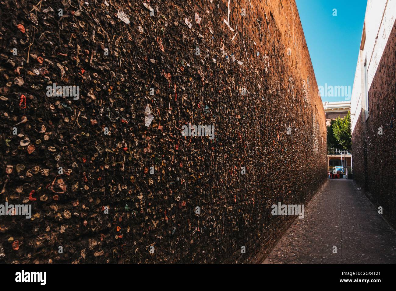 Bubblegum Alley, una stretta via pedonale a San Luis Obispo, CA dove le gomme masticate si accumulano sulle pareti, ora una famosa attrazione turistica Foto Stock