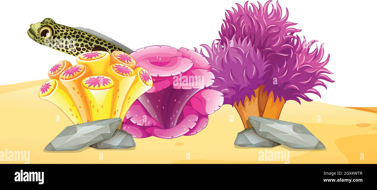 Anguilla nuota dietro il corallo Illustrazione Vettoriale