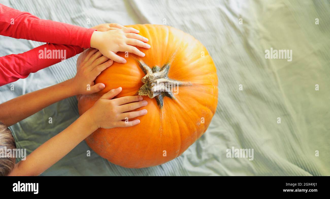 Piccole mani di due bambini che tengono una grande zucca arancione. Foto Stock