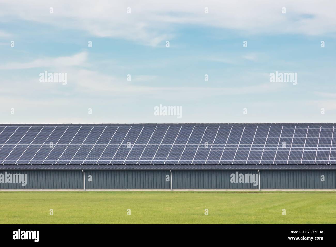 Grandi file di pannelli solari su un nuovo fienile agricolo nei Paesi Bassi Foto Stock