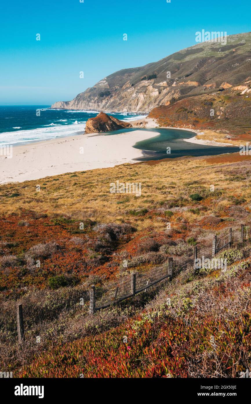 Un estuario scorre nell'Oceano Pacifico tra dune di sabbia ricoperte di piante presso Little sur River Beach, California, di proprietà privata Foto Stock