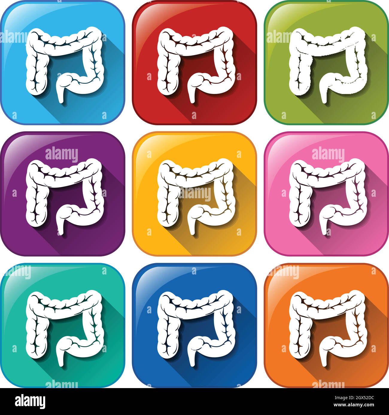 Bottoni con intestini Illustrazione Vettoriale Bottoni con intestini Illustrazione Vettoriale