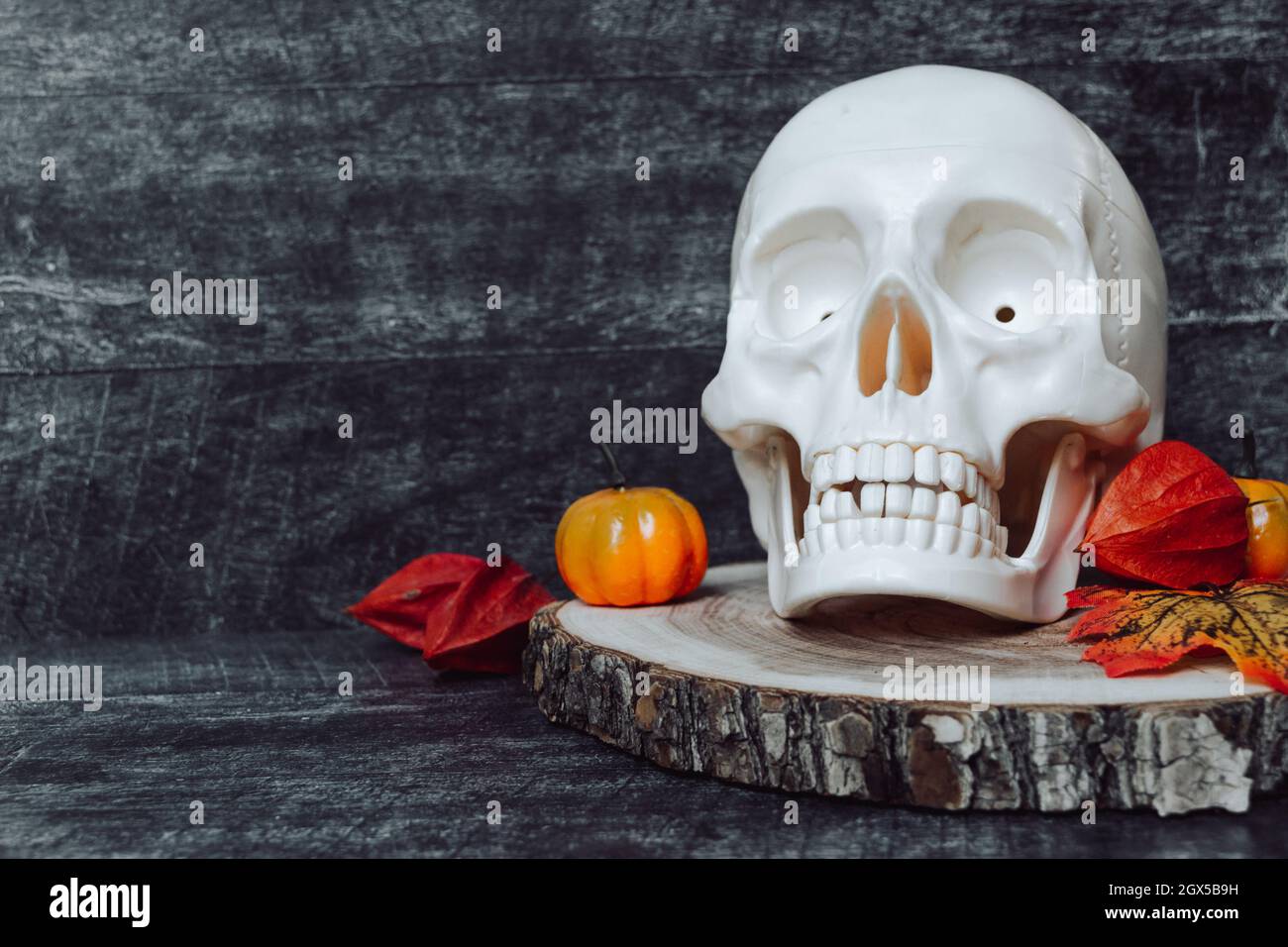 Halloween fine settimana. Decorazioni di Halloween. Zucca con cranio. Scena di Halloween Foto Stock