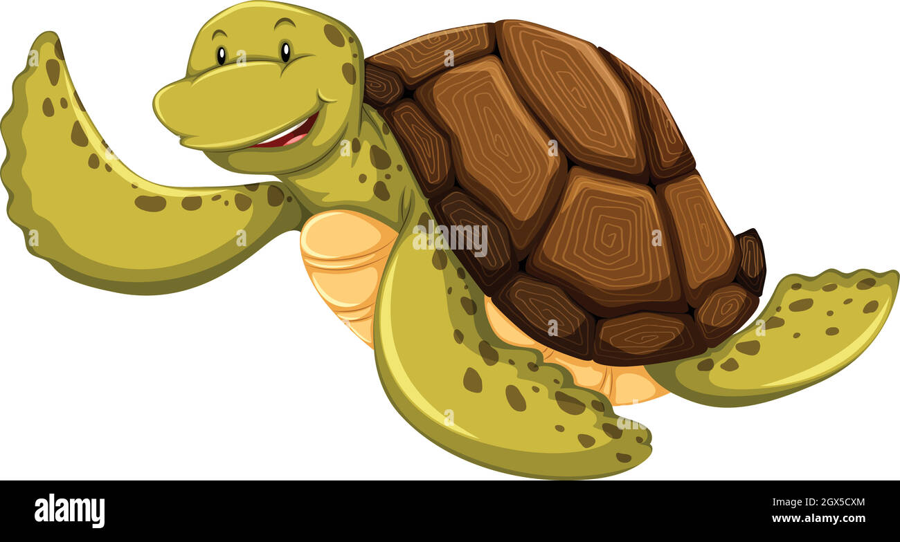 Tartaruga Illustrazione Vettoriale