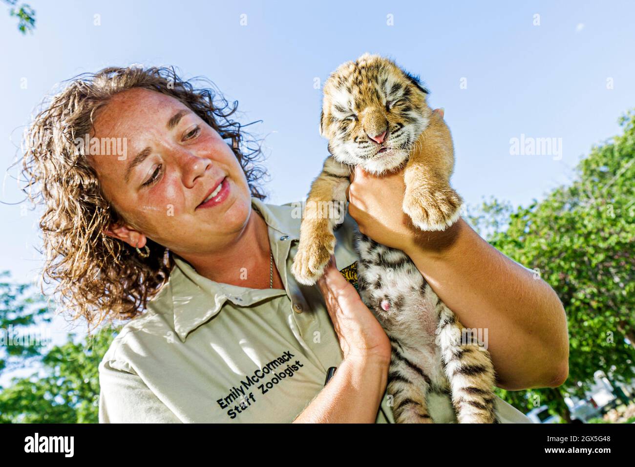 Eureka Springs Arkansas, Turpentine Creek Wildlife Refuge, tigre cucciolo occhi chiuso donna personale femminile zologist gestore di tenuta Foto Stock