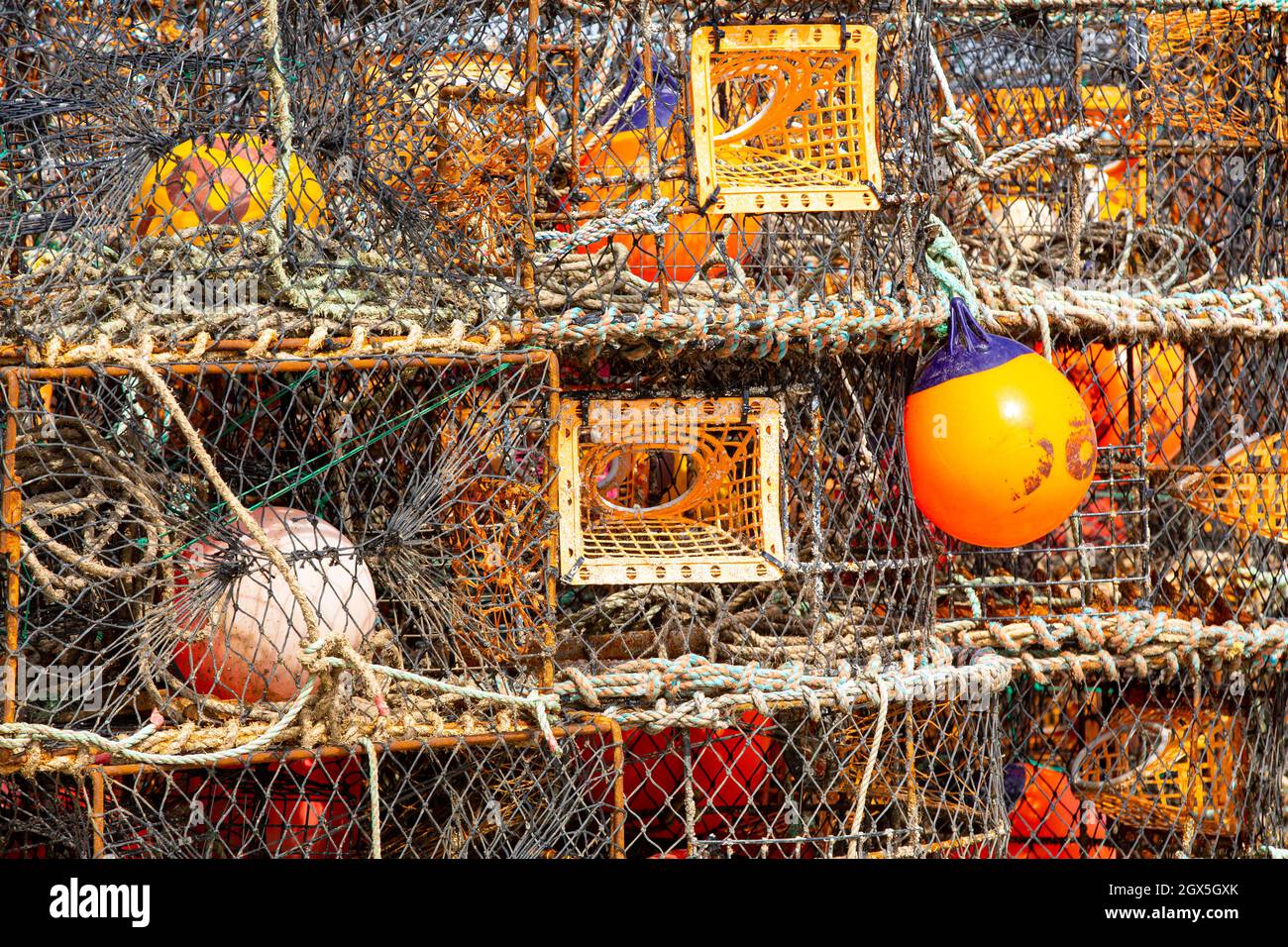 Un mucchio di vasi di aragoste da pesca marittima sul porto. Foto Stock