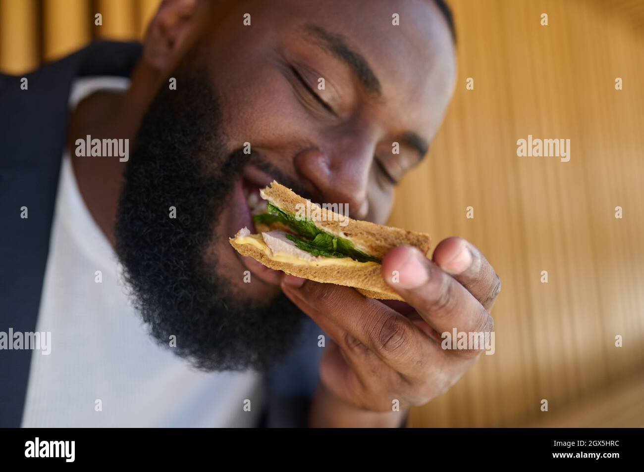 Un serpente mangiante dalla pelle scura con un grande appetito Foto Stock