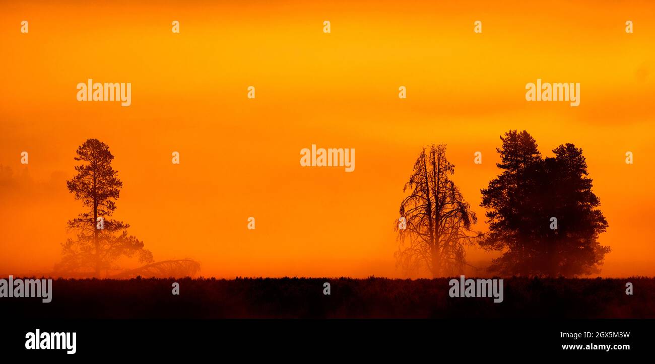 Alba del mattino con alberi e fiume sotto il cielo blu e la nebbia incandescente Foto Stock