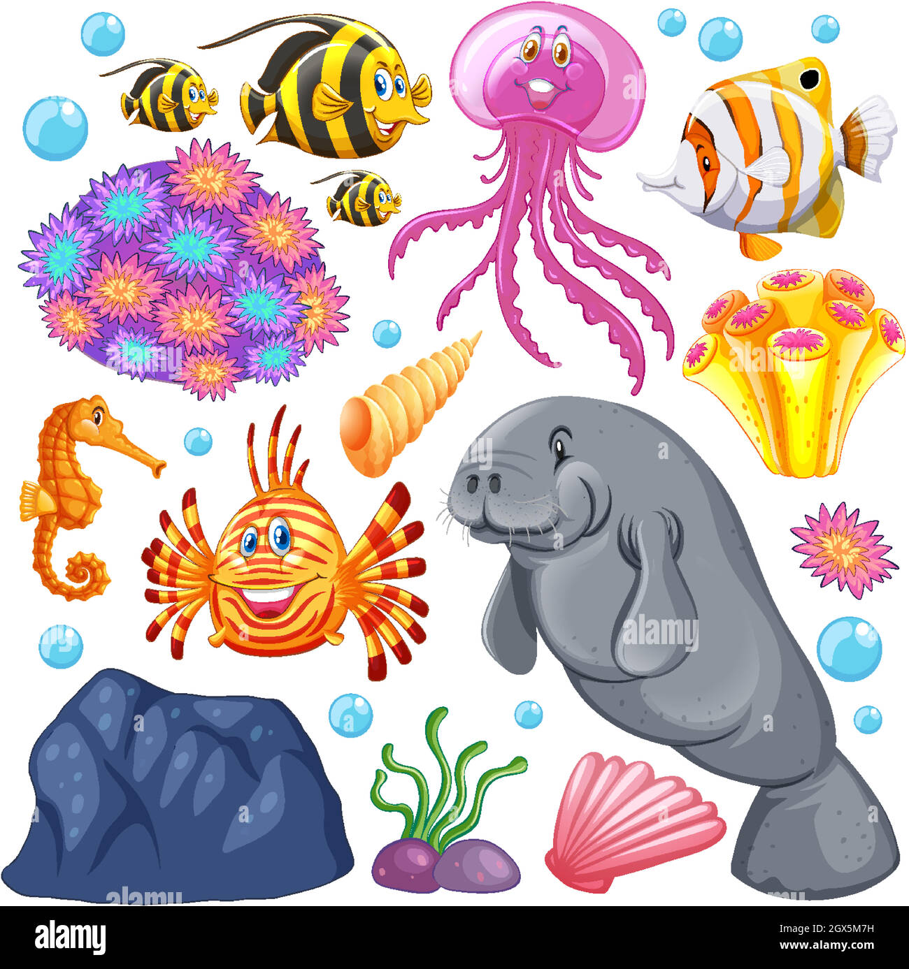 Set di creature marine e coralli su sfondo bianco Illustrazione Vettoriale