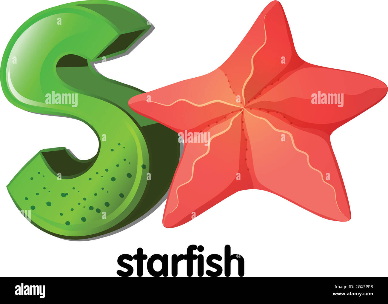 Una lettera S per le stelle marine Illustrazione Vettoriale