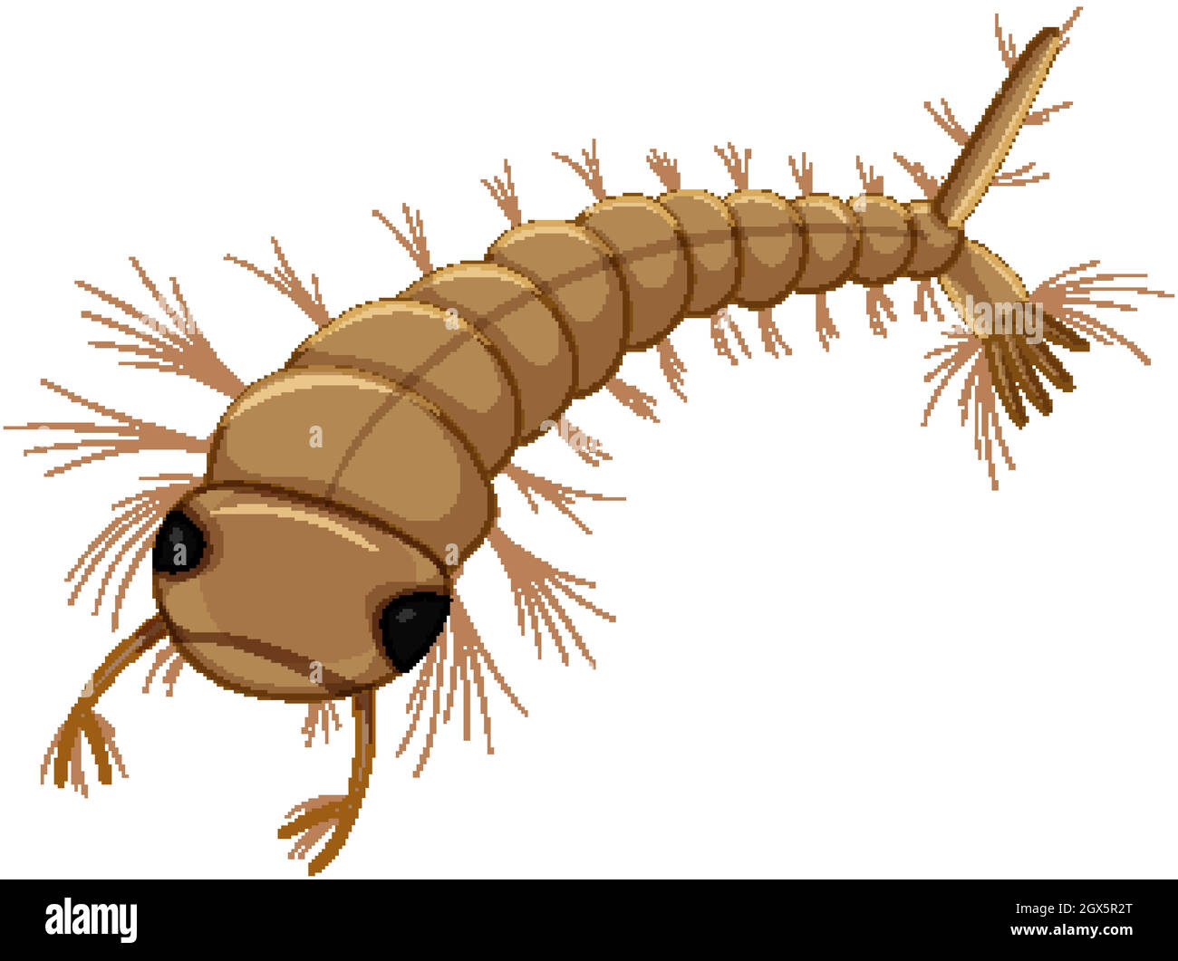 Larva zanzara isolato su sfondo bianco Illustrazione Vettoriale