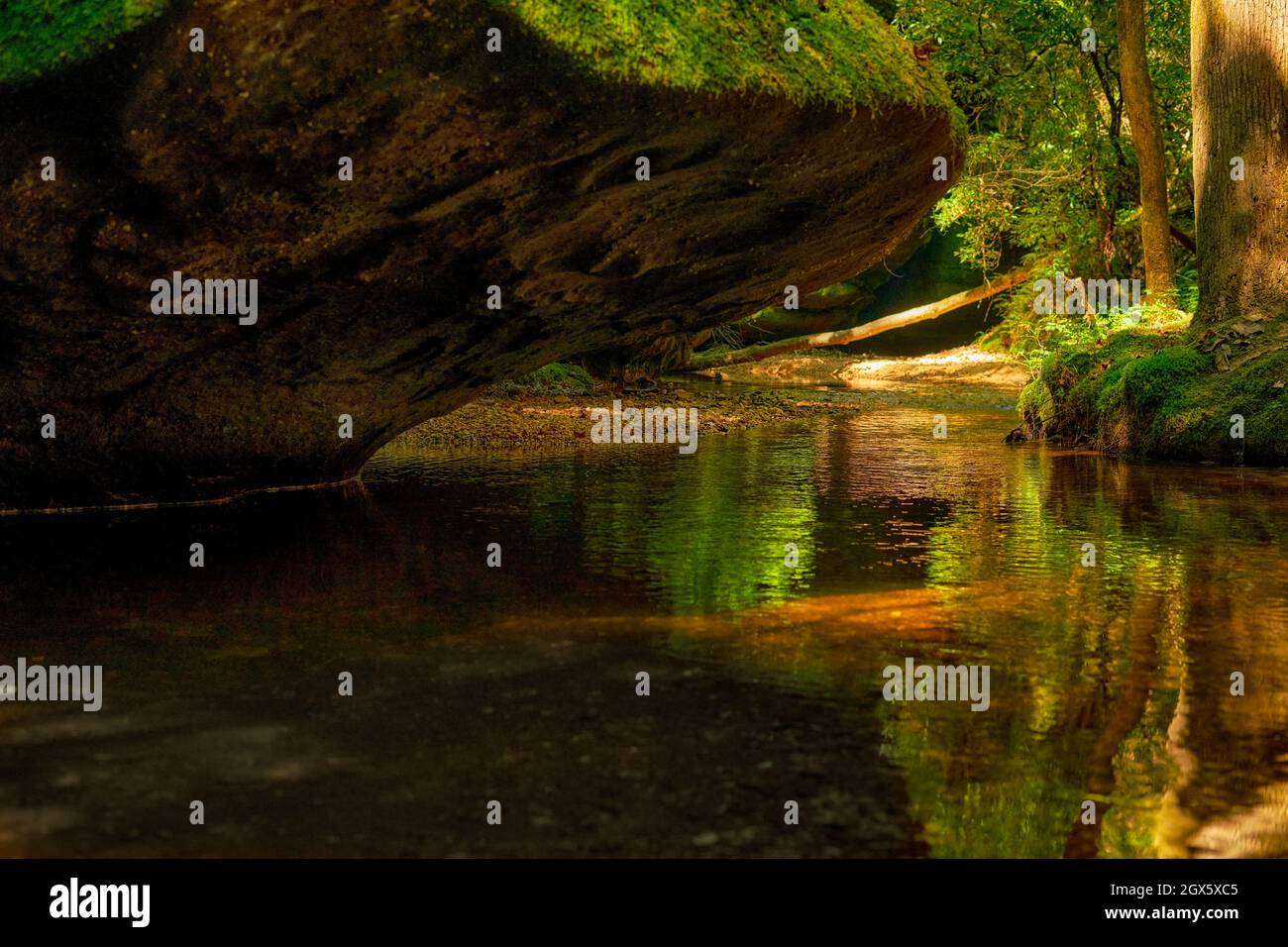 Il Dismals Canyon in Alabama è un luogo bellissimo da esplorare. Foto Stock
