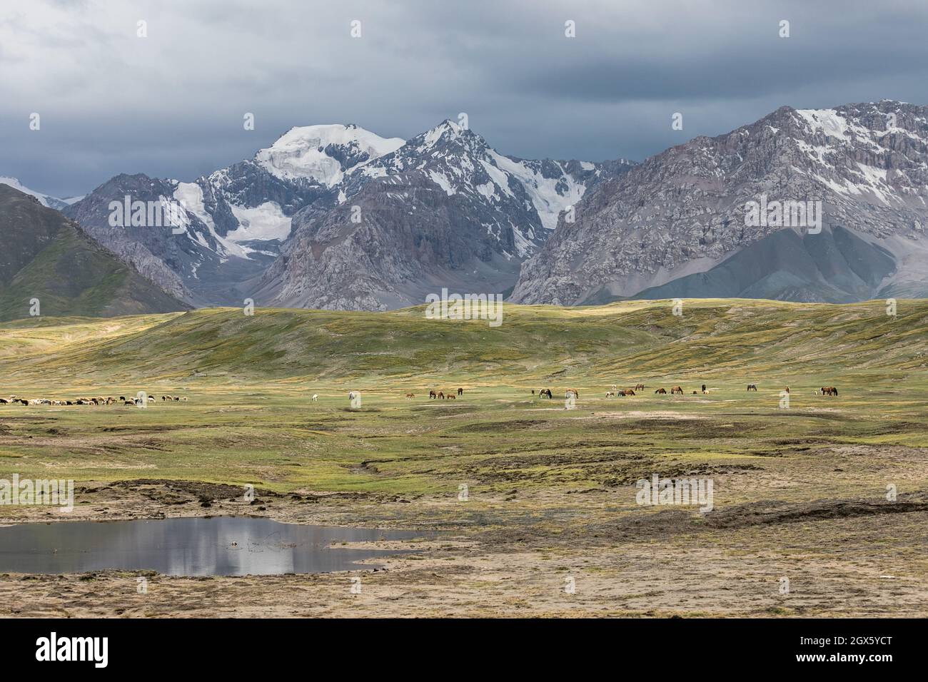 alta quota valle di montagna verde pascolo Foto Stock