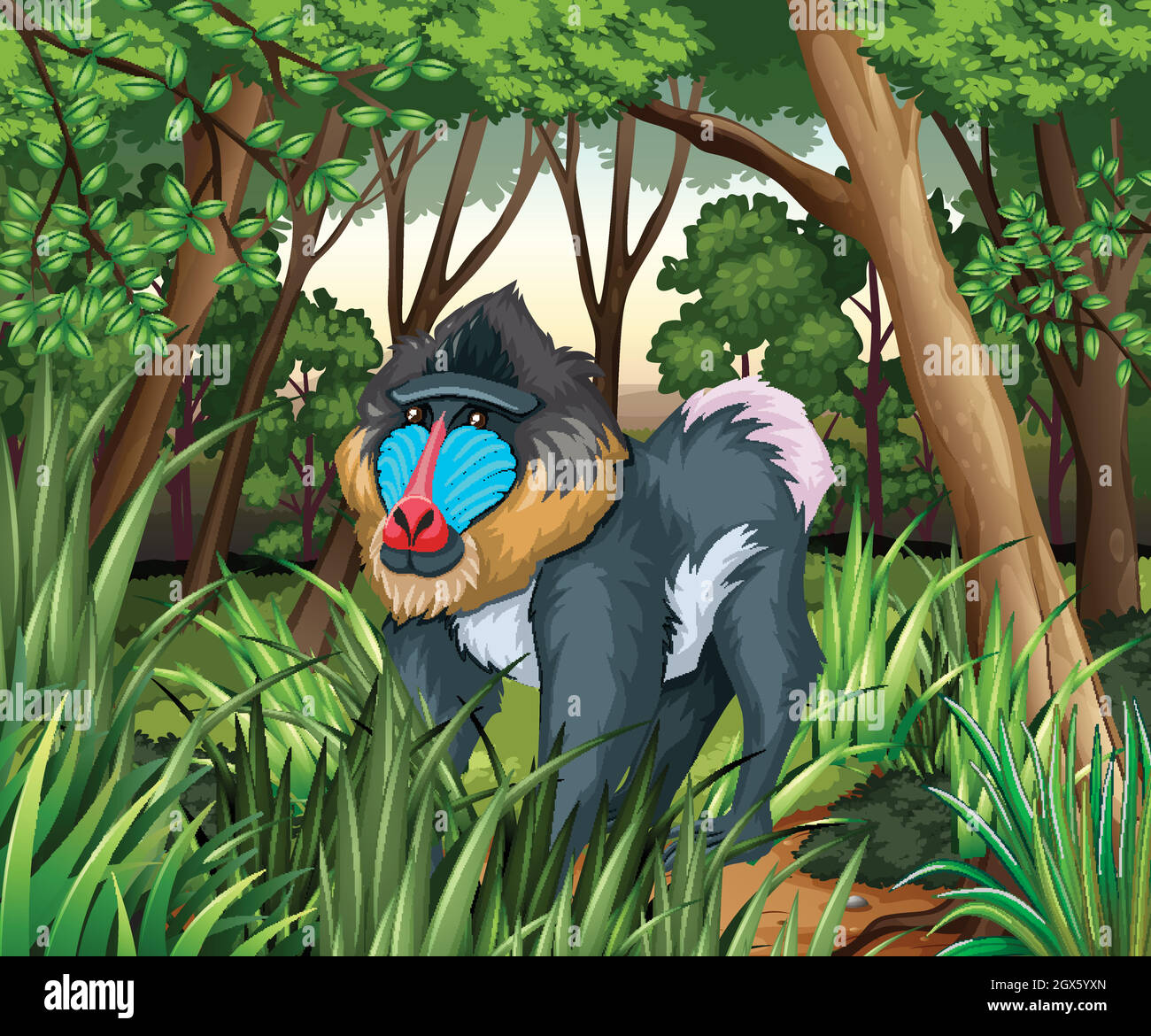 Baboon che vive nella foresta scura Illustrazione Vettoriale