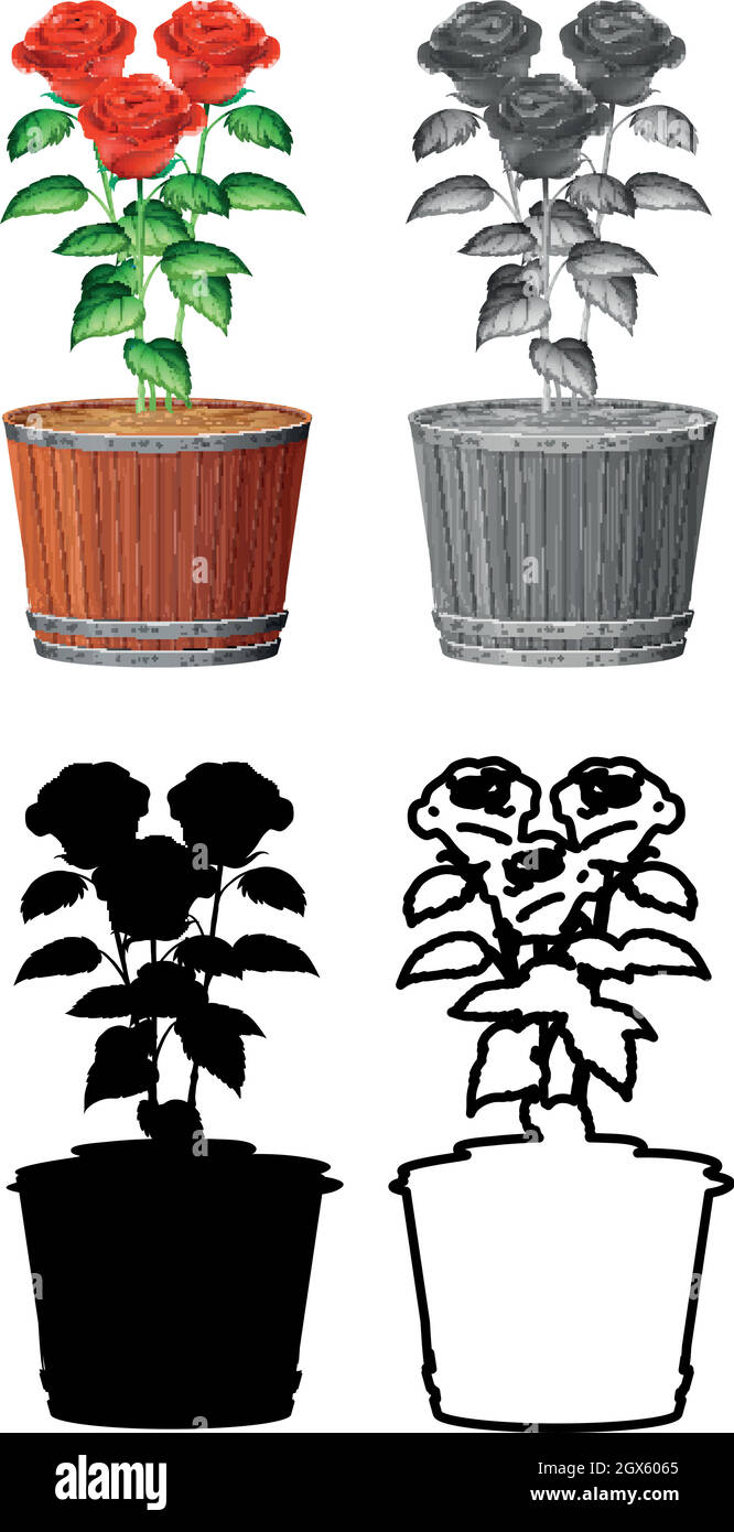 Set di rose in vaso Illustrazione Vettoriale