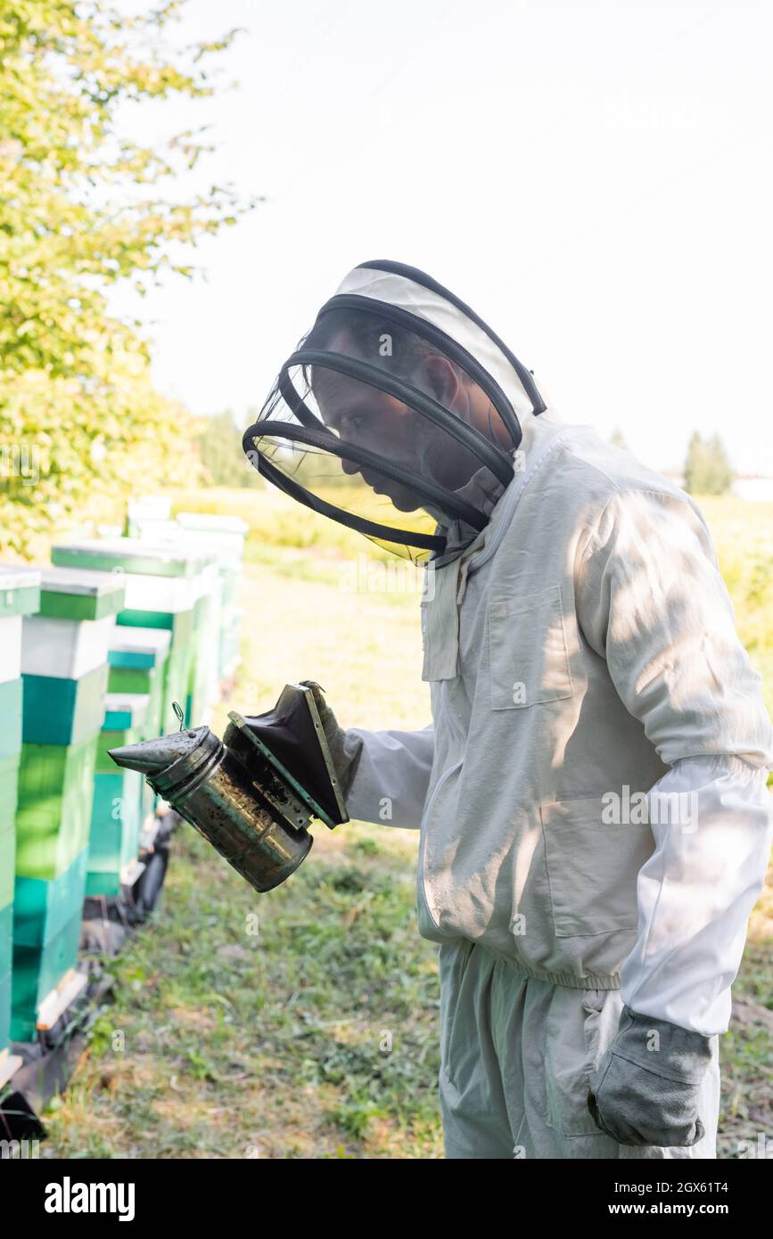 Apicoltore in Tuta E Casco Protettivi Immagine Stock - Immagine di