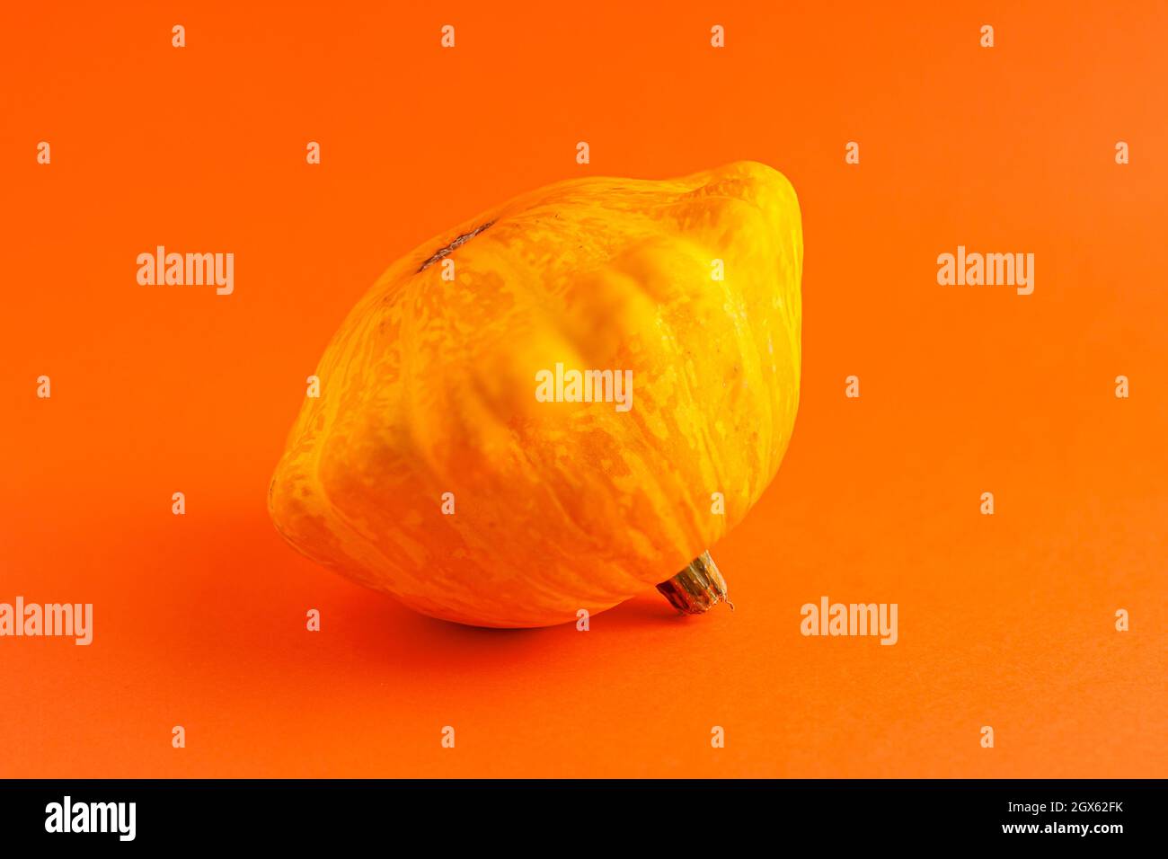 Primo piano di mini decorativo colore giallo zucca su sfondo arancione con spazio copia. Halloween e Thanksgiving biglietto di auguri concetto di vacanza Foto Stock