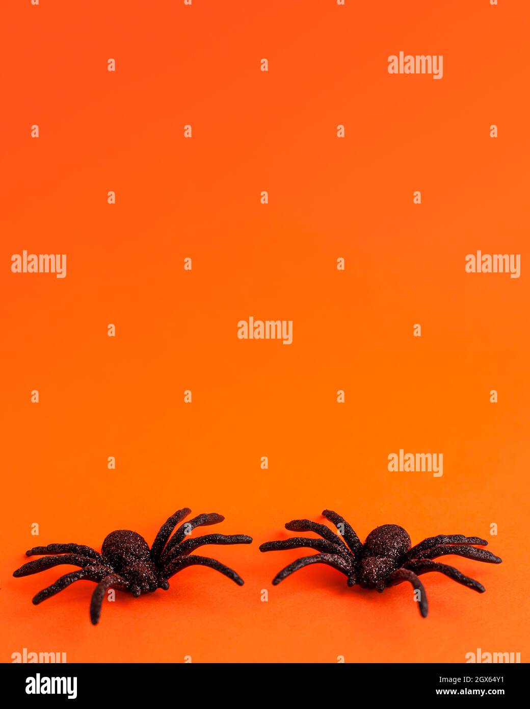Due ragni horror neri di diverse dimensioni direzioni su sfondo arancione con spazio di copia. Decorazione di Halloween concetto di sfondo spoky per le vacanze Foto Stock