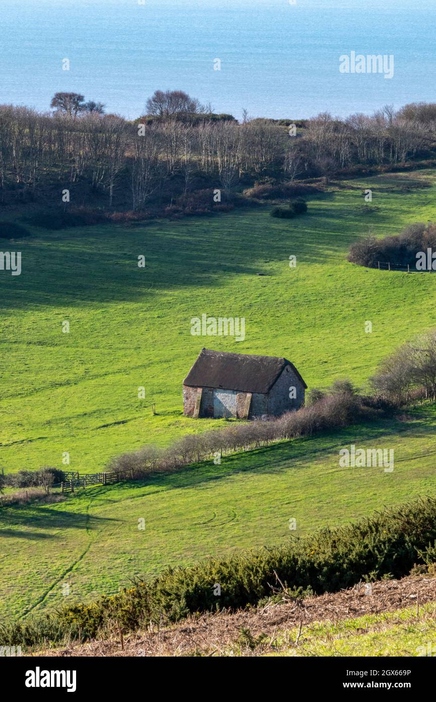 remota fattoria su un prato vicino al mare su terreno agricolo sull'isola di wight in inverno con alberi che gettano ombre sui campi verdi. Foto Stock