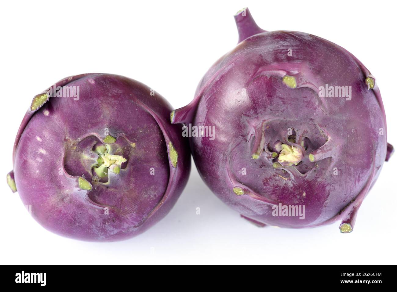 Brassica oleracea (Gongylodes Group) 'Modrava' Kohlrabi Kohl Rabi German Turnip F1 Hybrid settembre Foto Stock