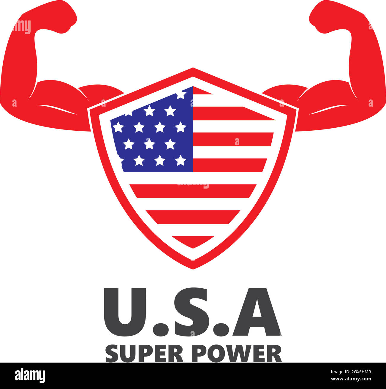 disegno di illustrazione vettoriale di difesa con schermatura a bandiera u.s.a Illustrazione Vettoriale