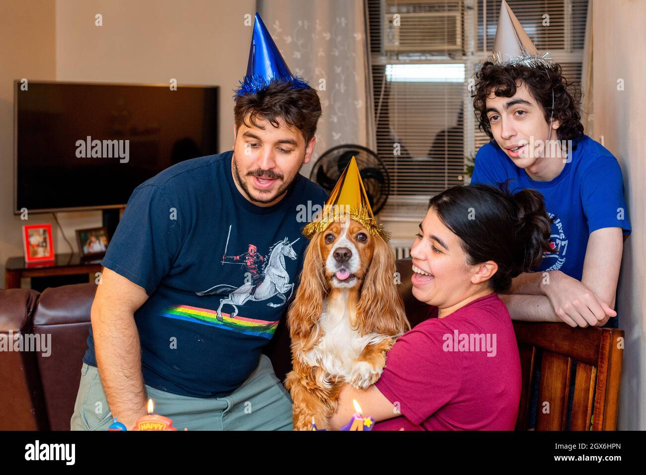 4° compleanno di un cane di famiglia, carino cane Foto Stock