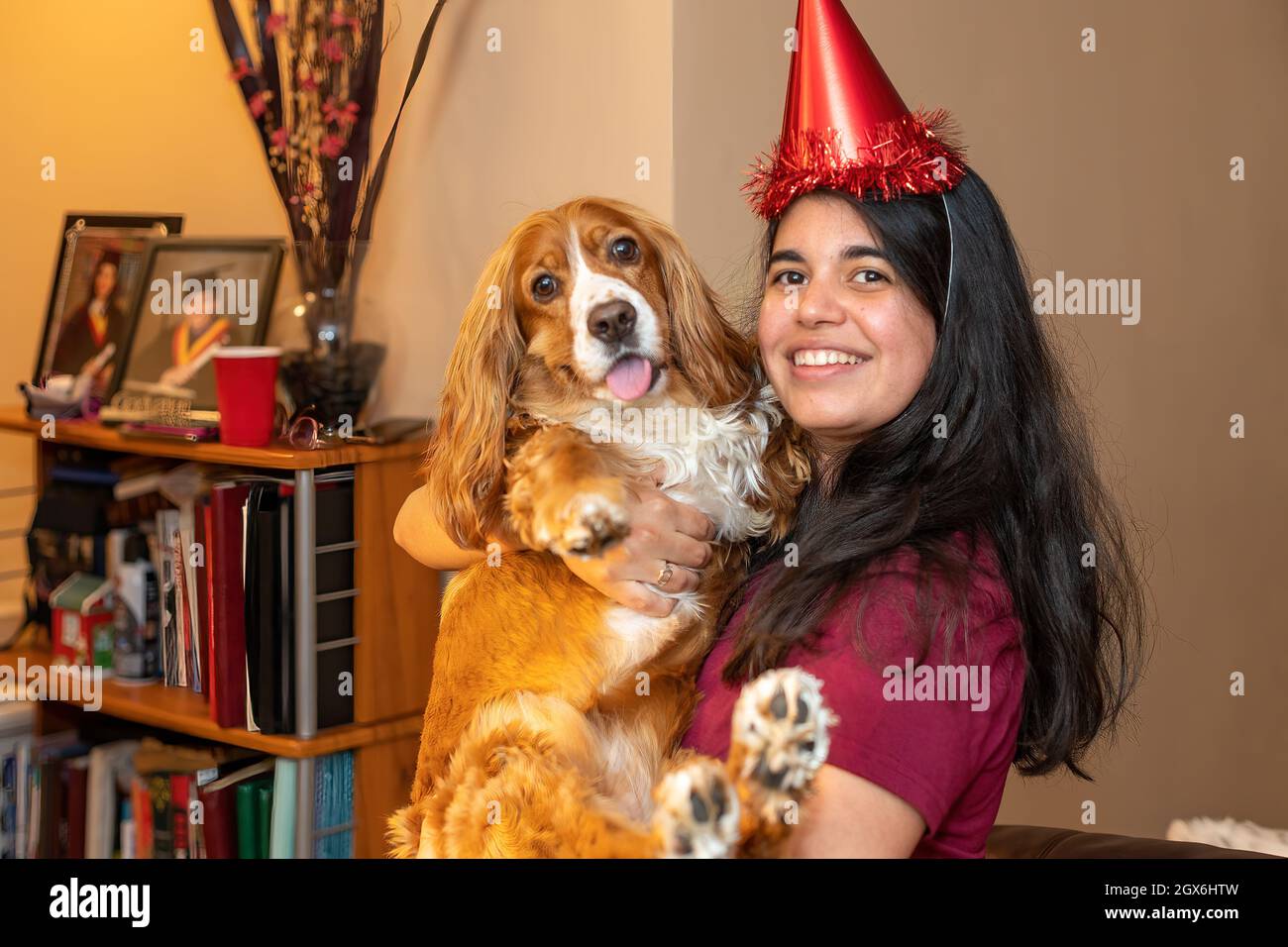 4° compleanno di un cane di famiglia, carino cane Foto Stock