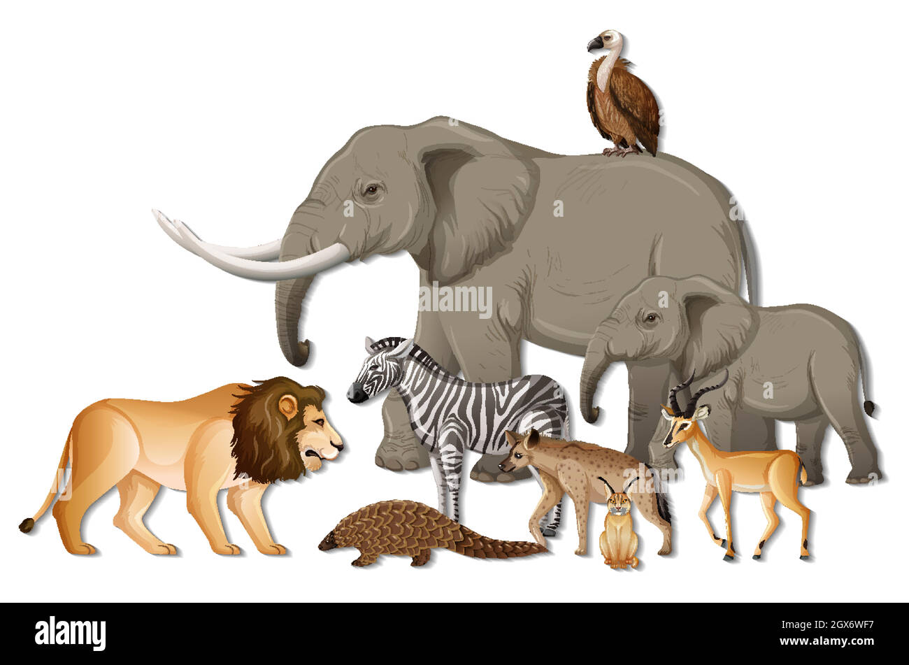 Gruppo di animali selvatici africani su sfondo bianco Illustrazione Vettoriale