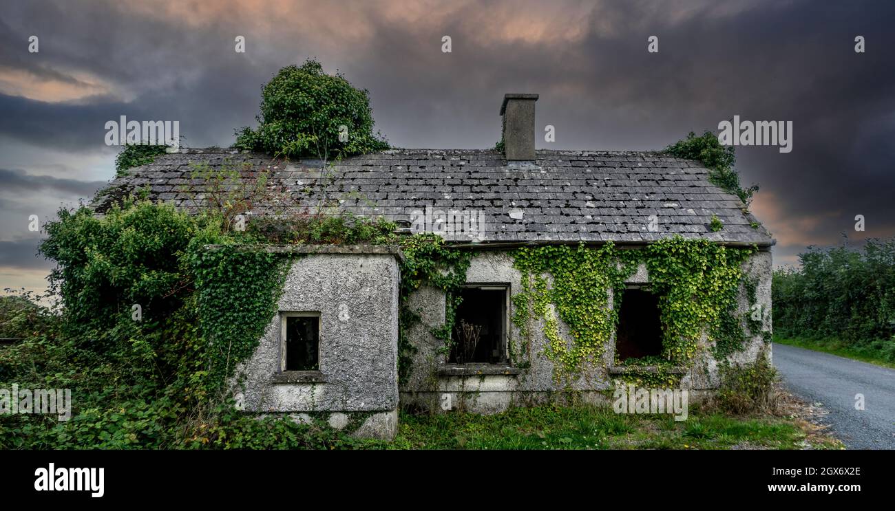 Un vecchio casolare abbandonato derelitto nella contea di Longford, Irlanda. Foto Stock