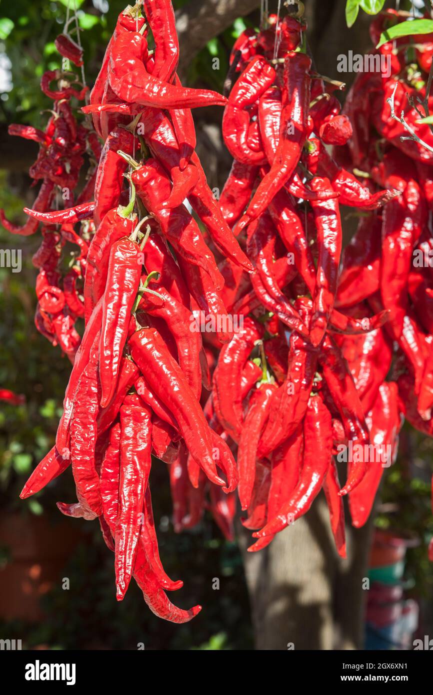 Ristra de guindas asciugando sotto il sole all'aperto casa di villaggio. I Guindas sono peperoni allungati di varietà cuciti come un mazzo e li aria fuori per asciugare. Acena de la Foto Stock