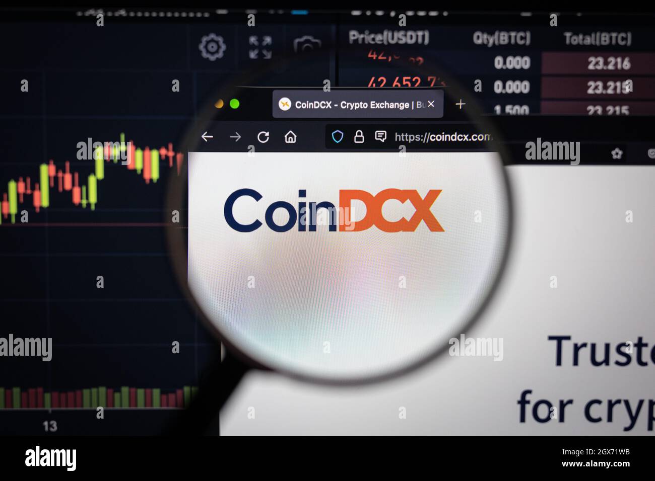 CoinDCX cripto scambio logo su un sito web con blurry sviluppi del mercato azionario in background, visto su uno schermo del computer Foto Stock