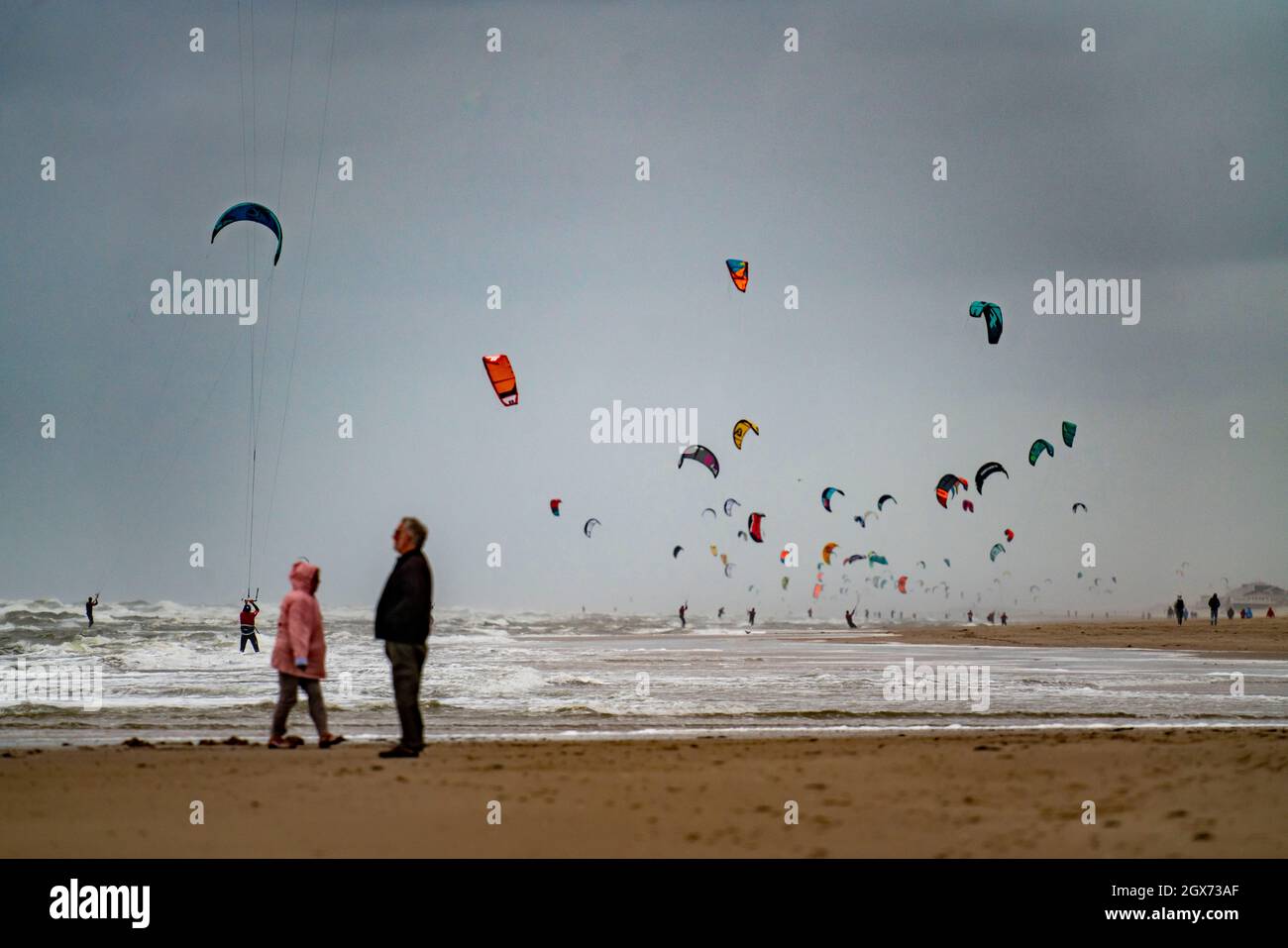 Hoek Tot Helder, la più lunga corsa di aquiloni nel mondo, 130 chilometri in un giorno lungo la costa olandese del Mare del Nord, da Hoek van Holland a. Foto Stock