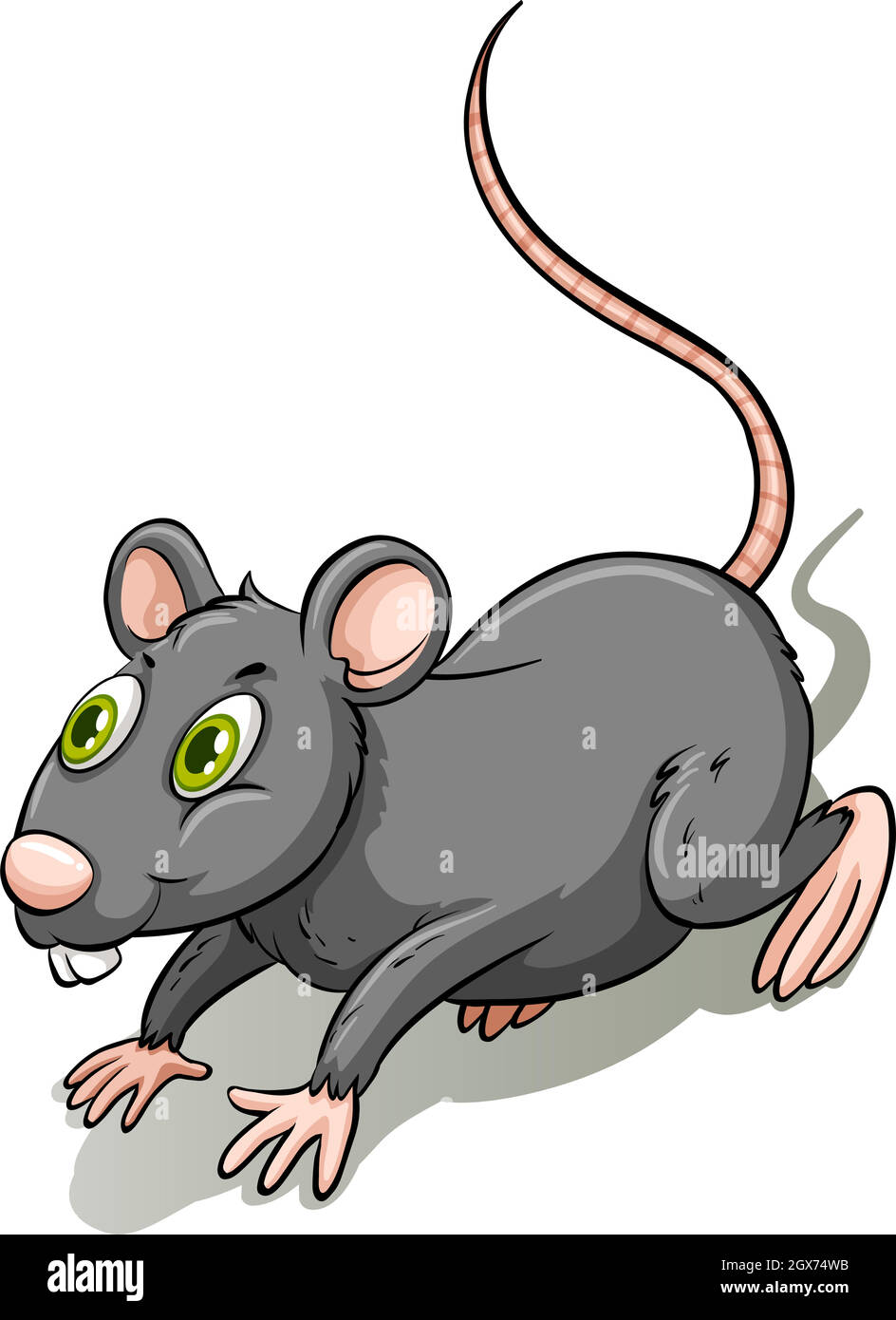 Ratto grigio Illustrazione Vettoriale