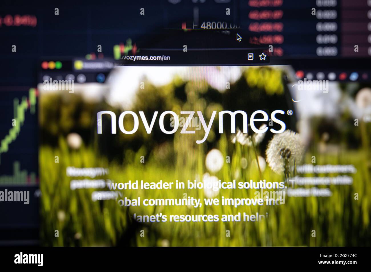 Novozymes Company logo su un sito web con blurry di mercato azionario sviluppi in background, visto su uno schermo del computer attraverso una lente d'ingrandimento Foto Stock