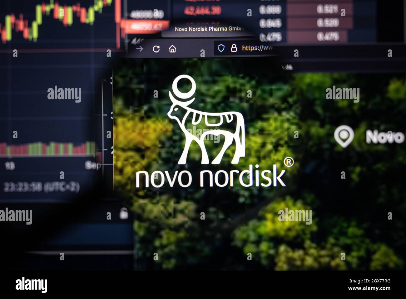 Logo aziendale Novo Nordisk su un sito web con sviluppi del mercato azionario sfocati in background, visto su uno schermo del computer attraverso una lente d'ingrandimento Foto Stock