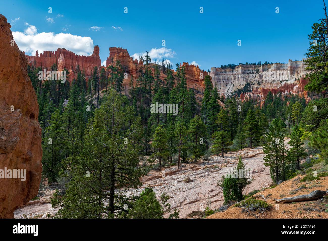 Facendo un'escursione attraverso l'anfiteatro del Bryce Canyon si scoprono molti Hoodoo's e altri splendidi siti Foto Stock