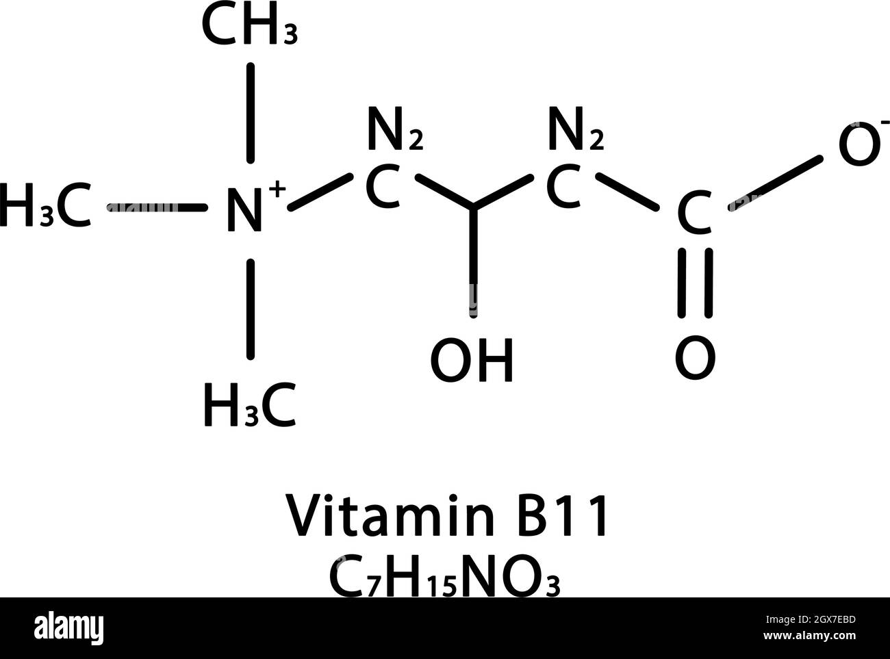 Struttura molecolare della vitamina B11 L-carnitina. Vitamina B11 L-carnitina formula chimica scheletrica. Formule molecolari chimiche Illustrazione Vettoriale