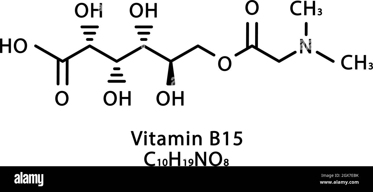 Struttura molecolare dell'acido pangamico della vitamina B15. Vitamina B15 acido pangamico formula chimica scheletrica. Formule molecolari chimiche Illustrazione Vettoriale