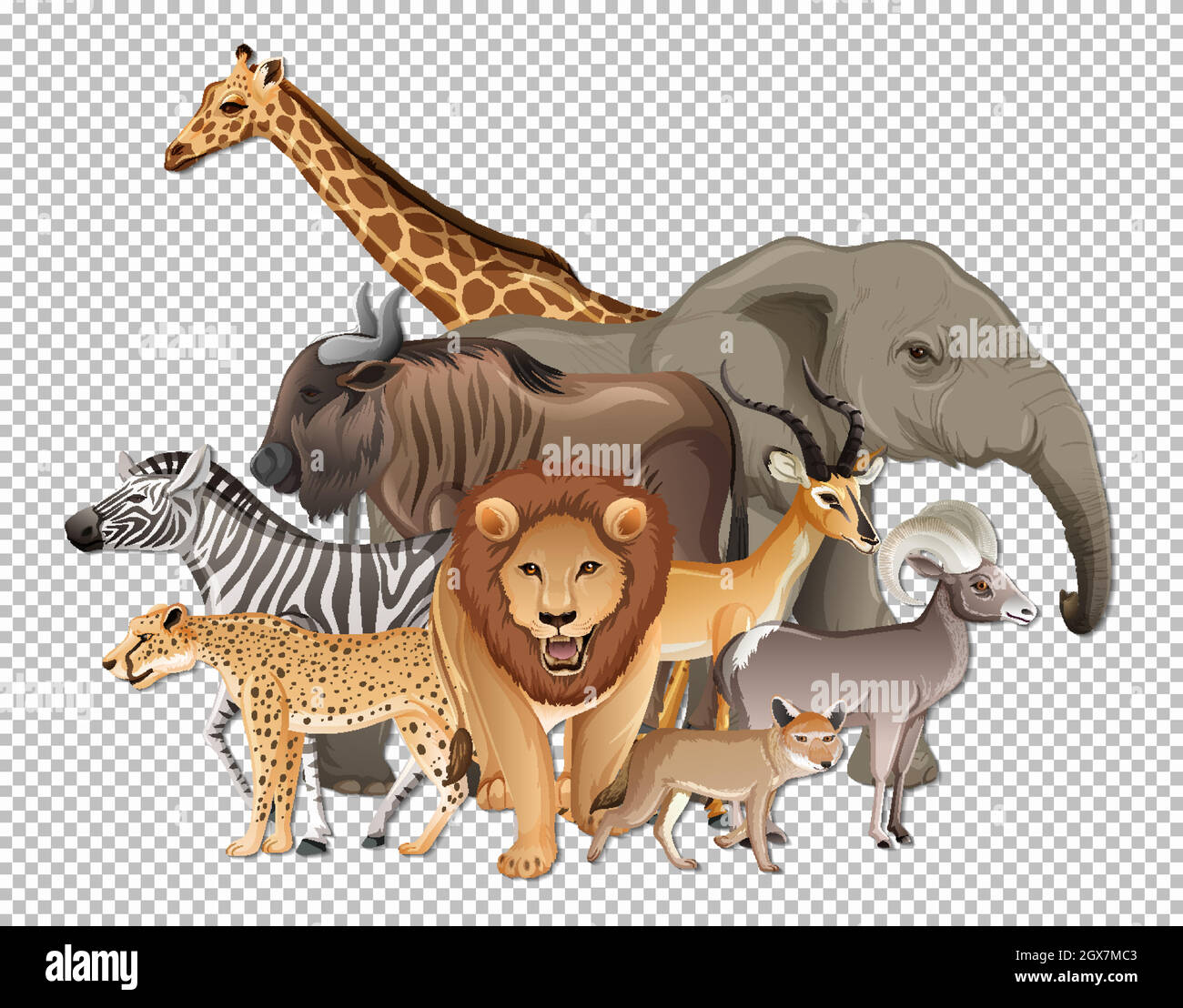 Set di 4 Sottobicchieri Quadrati-BW-Famiglia di animali selvatici